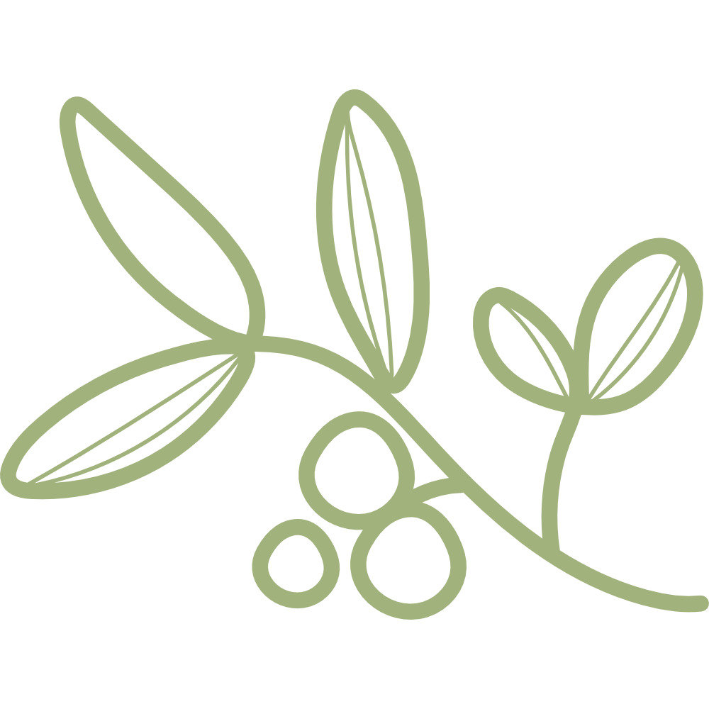 Line drawing of an olive branch with leaves and olives
