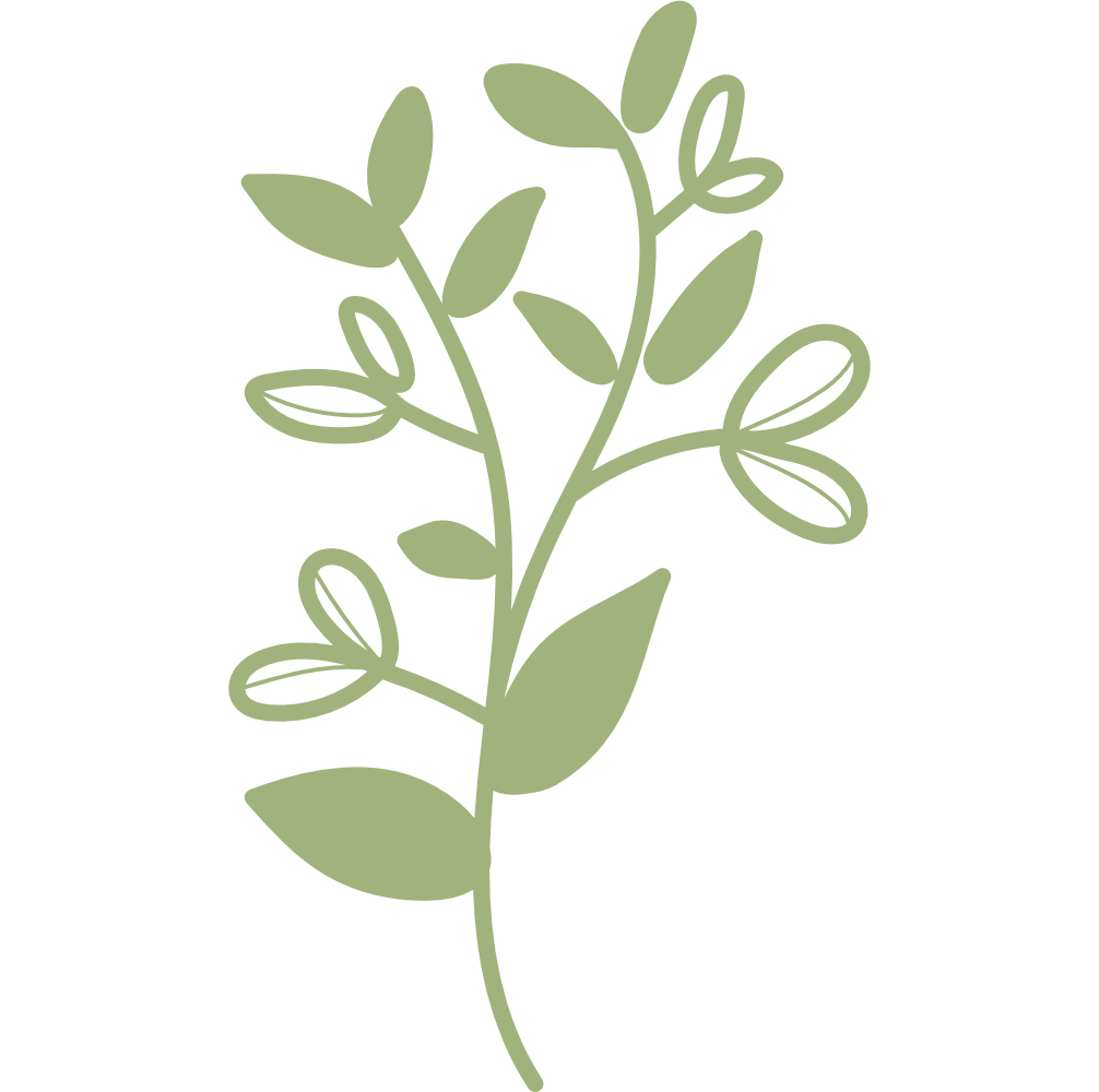A simple, stylized illustration of a green leafy branch with multiple leaves.