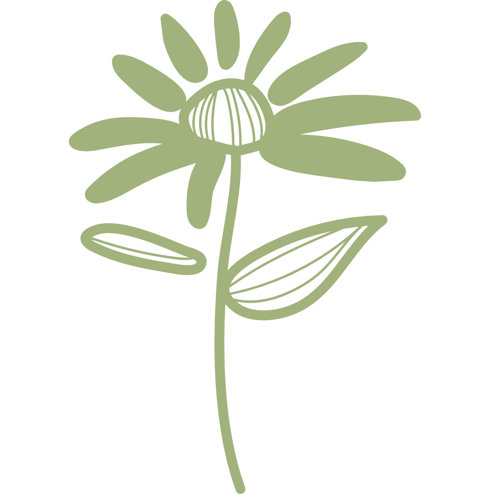 A simple, stylized illustration of a flower with a round center and multiple elongated petals, along with one leaf on each side of the stem, all in a muted green color.