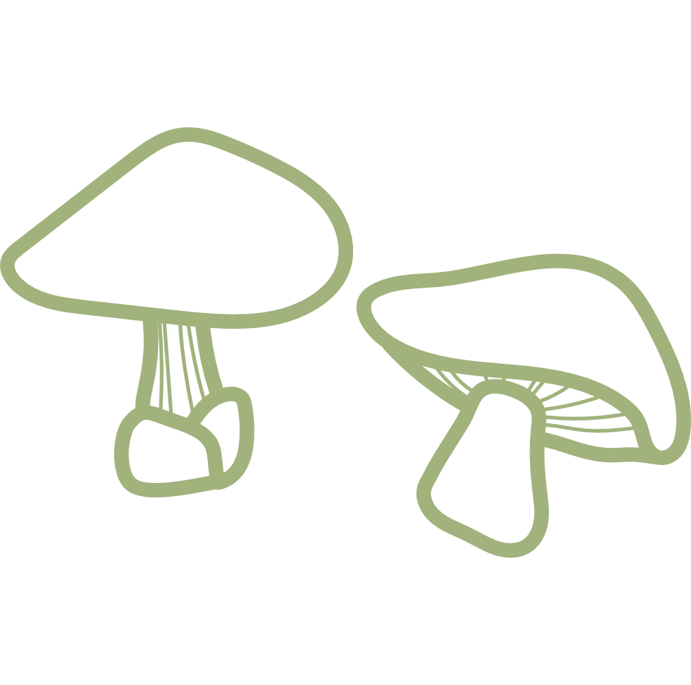 Digital illustration of two mushrooms with green outlines on a black background.