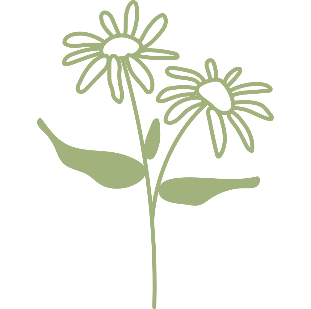 Simplified green illustration of a flower with two daisies and leaves.