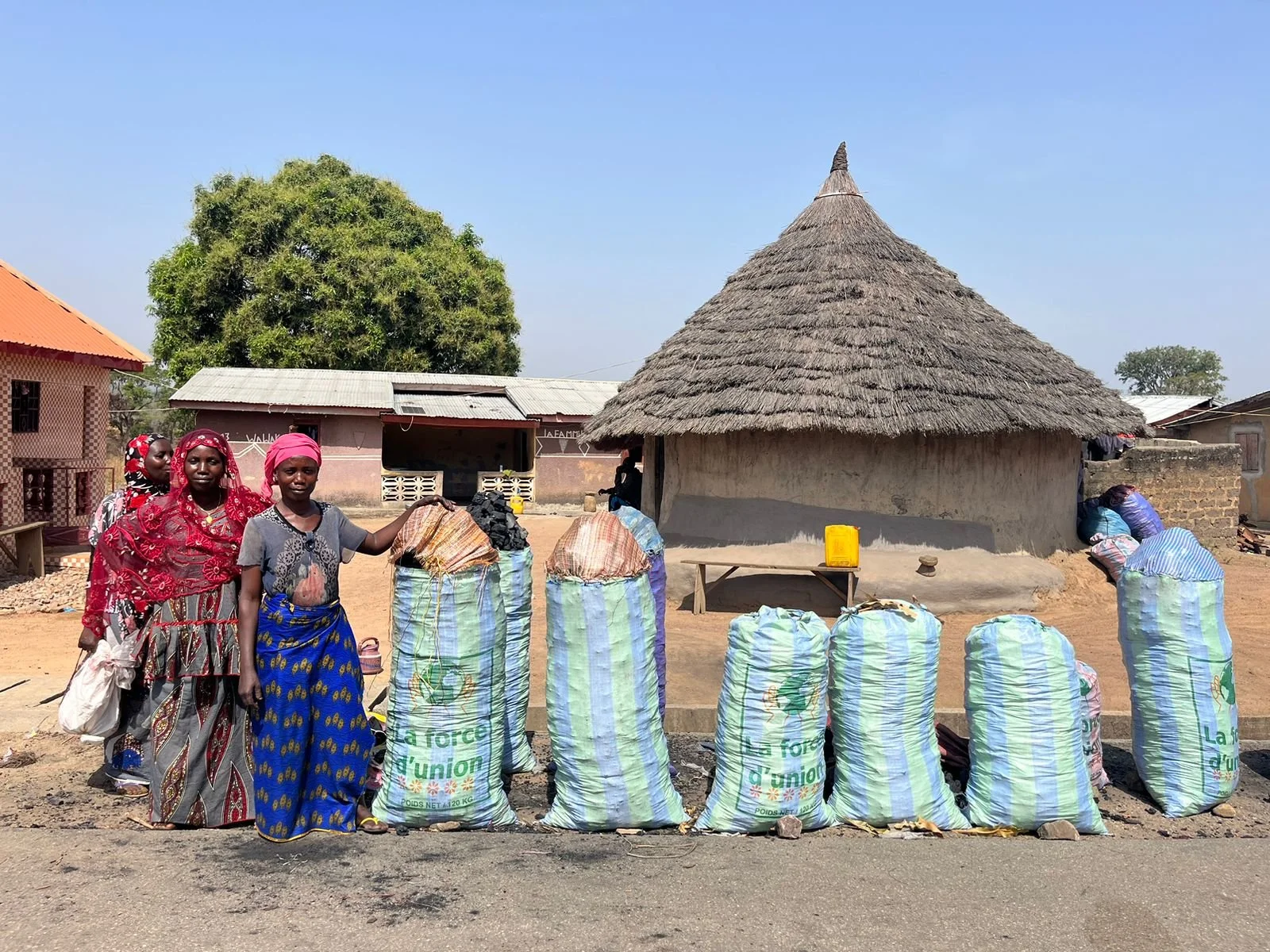 Communities in Guinea rely heavily on charcoal for cooking food