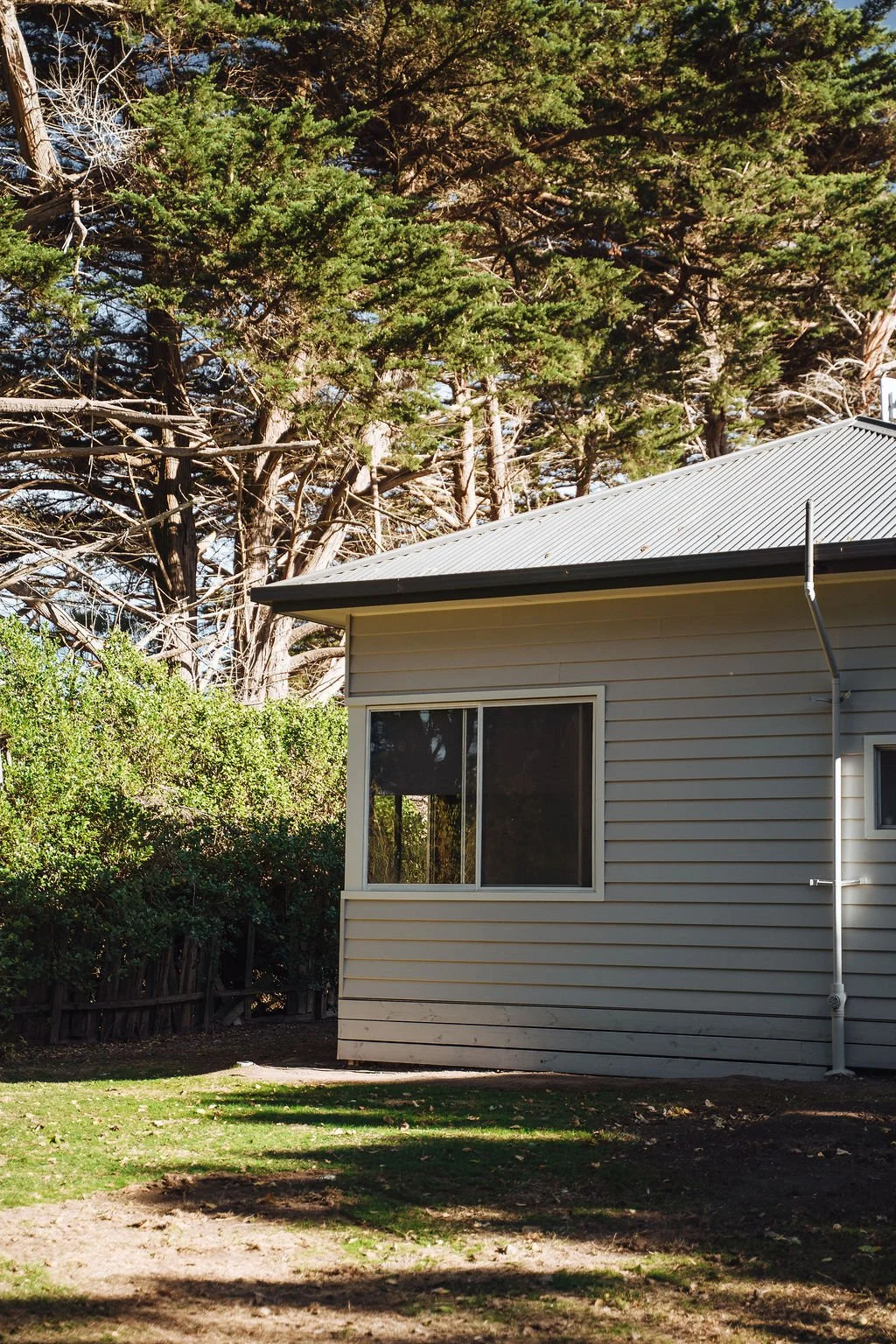 Side view of a house with beige siding, a window, and a metal roof, surrounded by trees and a grassy yard.