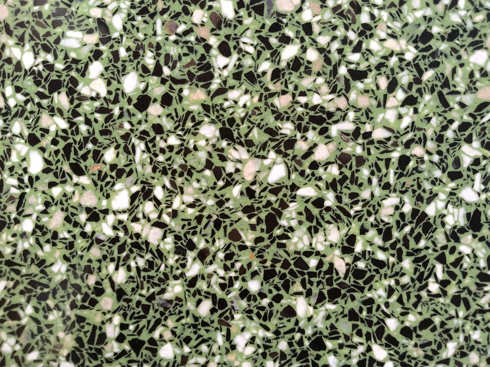 TR-CHIC SHADE GREEN-MCE #3