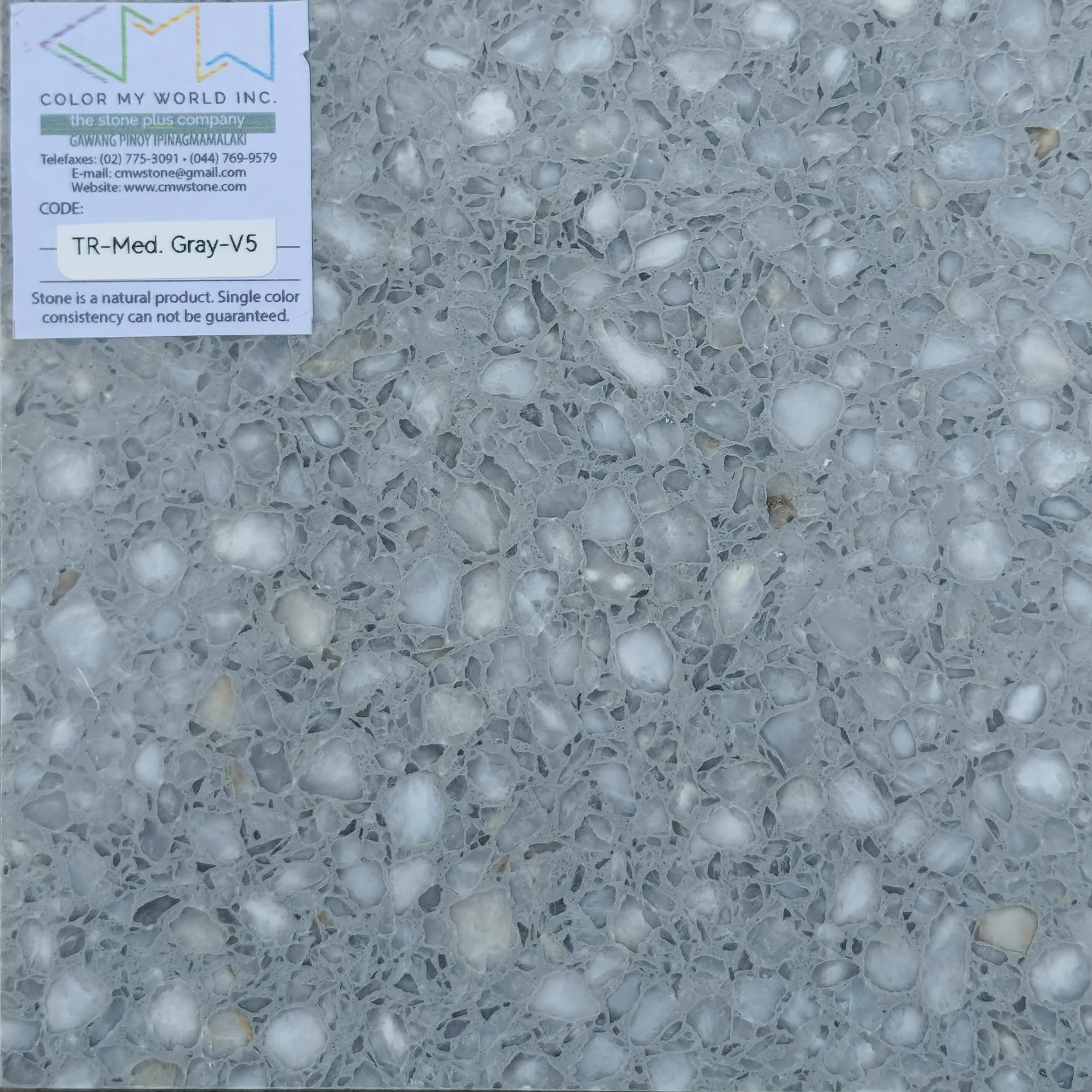 TR-MEDIUM GRAY-V #3