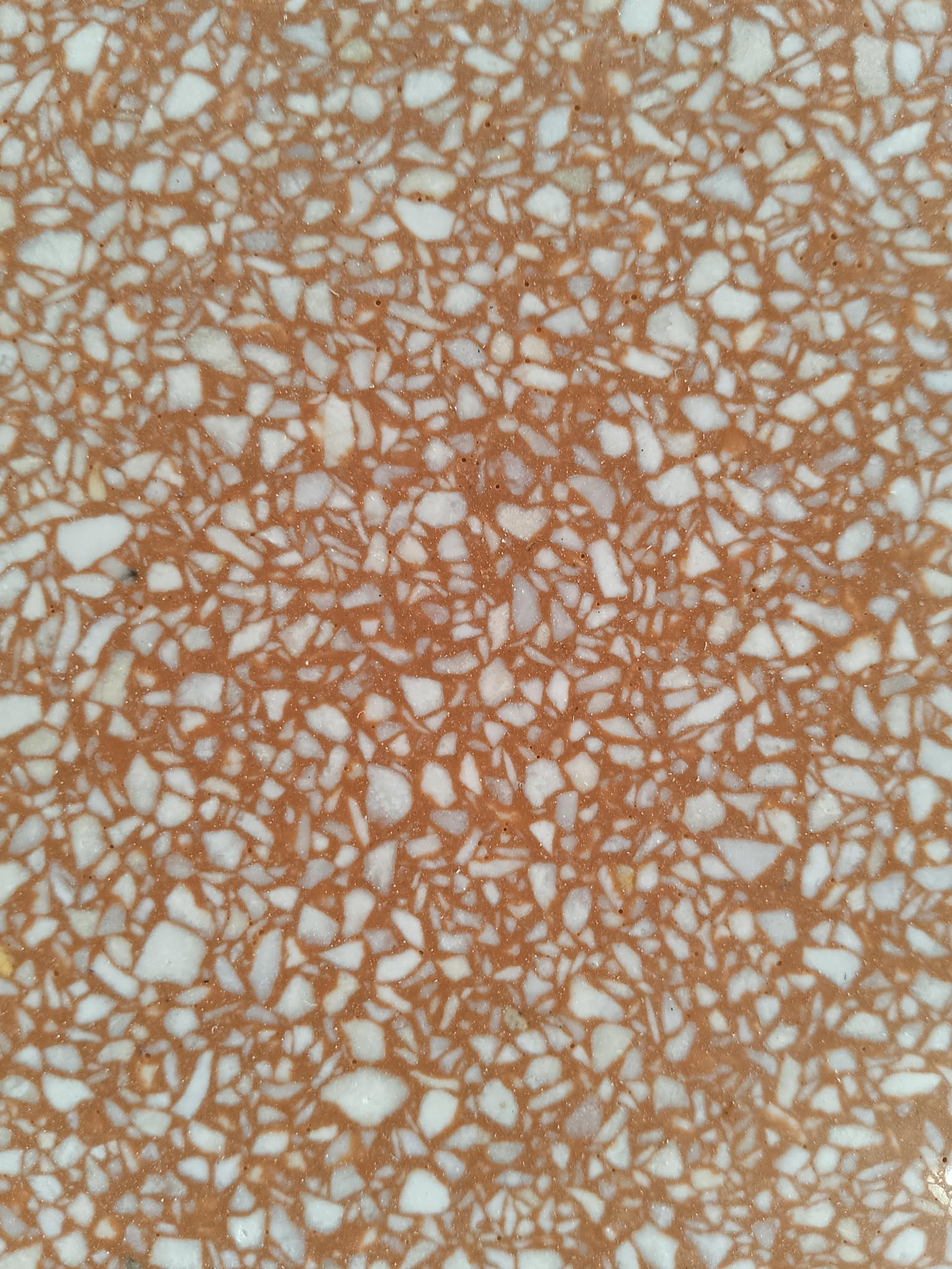 TR-BEIGE-C #5