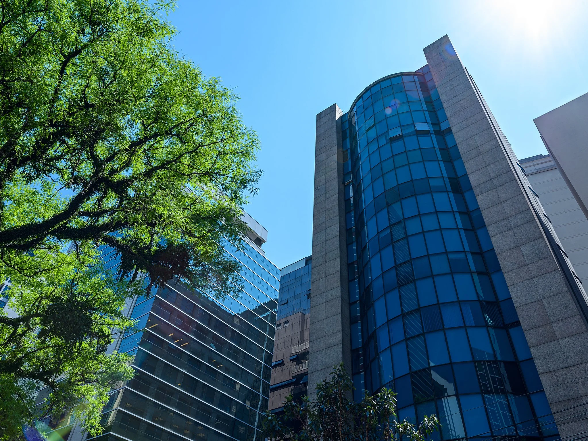 Edificio moderno de oficinas de vidrio y concreto con árboles verdes y cielo azul brillante en el fondo.