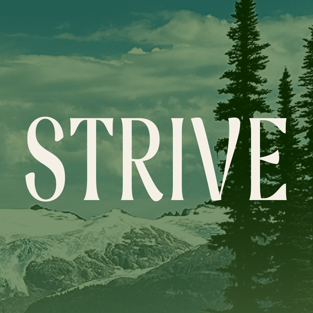 Strive