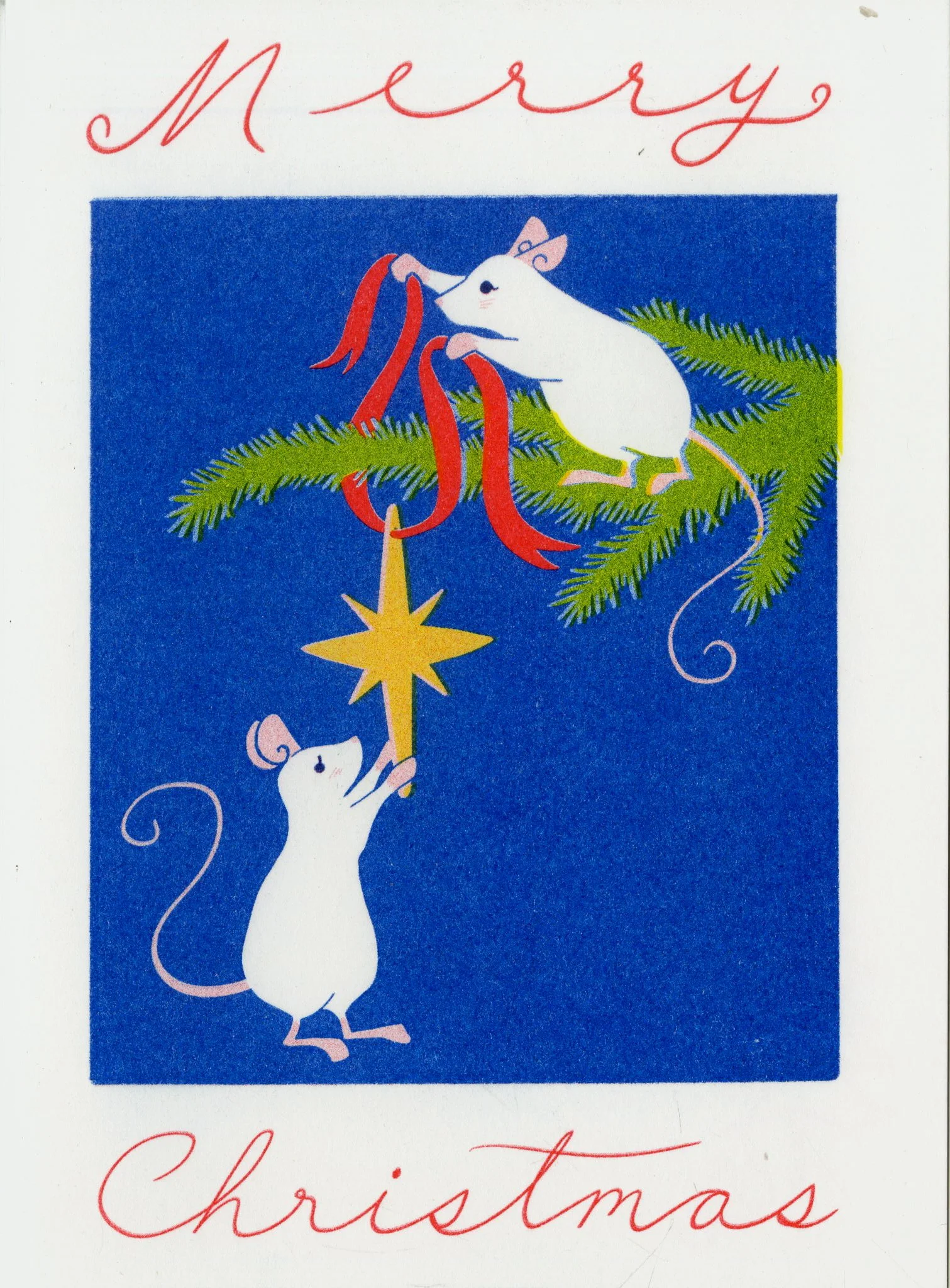 Holiday Cards