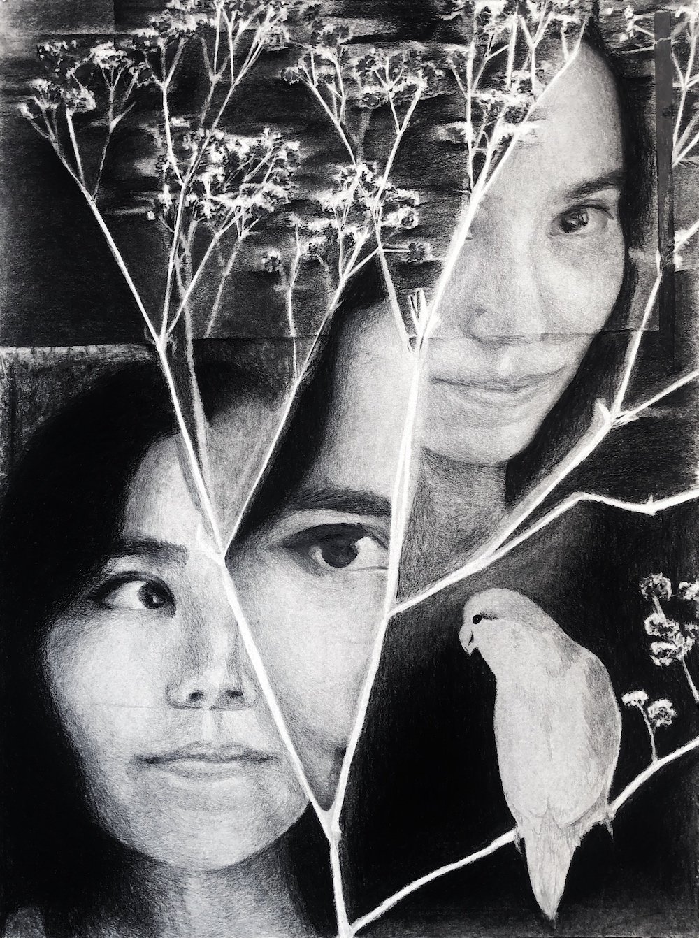 Looking Back ~
Charcoal, 2023