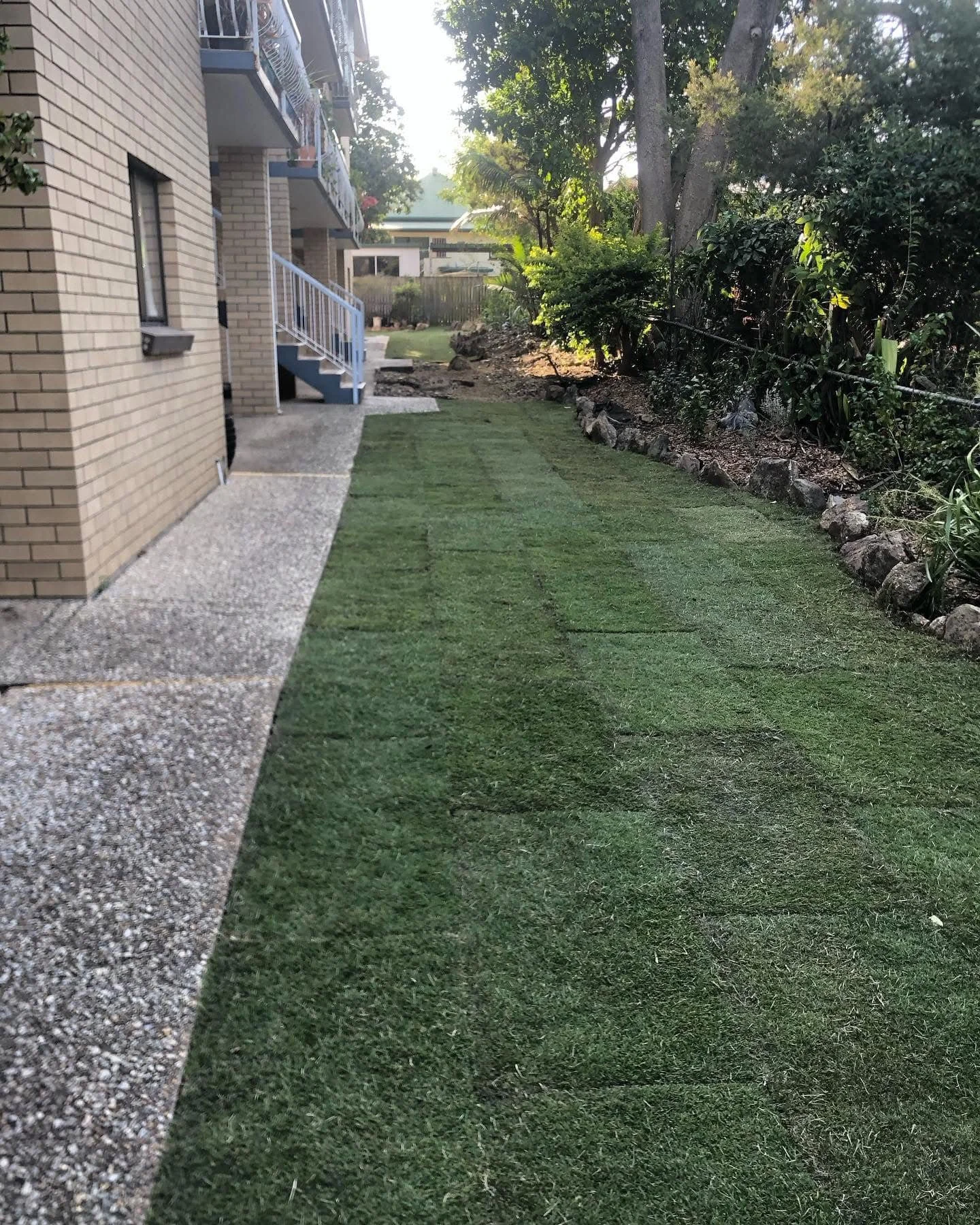 Backyard with strip of freshly laid green sod next to a gravel pathway, bordered by trees and bushes, with a brick building and outdoor stairs on the left.