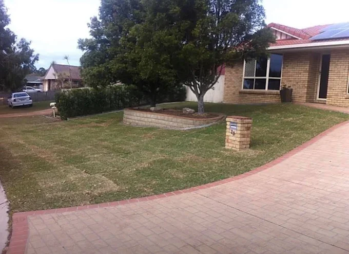 Front yard with a brick pathway, a large tree, and a brick retaining wall in front of a brick house with solar panels.
