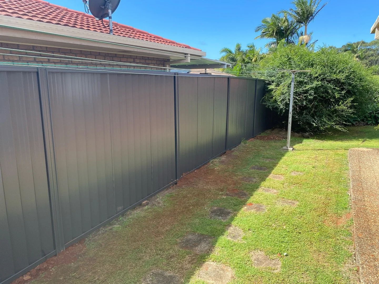 A backyard with a green grass lawn, a dark metal fence, a small bush, and some tall palm trees under a clear blue sky.