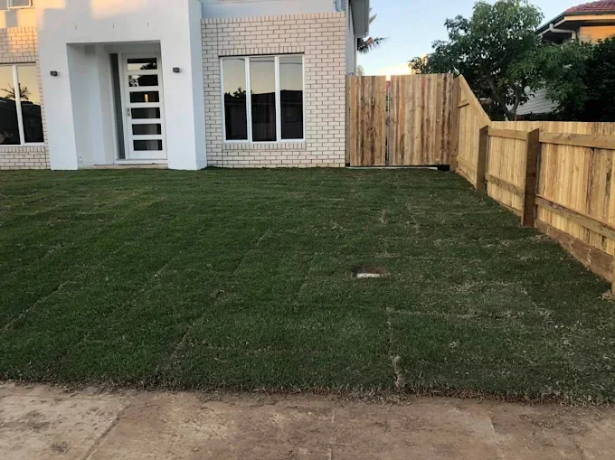 Front yard with freshly laid sod grass in front of a modern house with large windows and a white brick exterior, surrounded by a wooden fence.