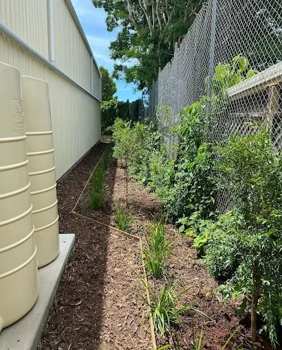 A garden bed with various plants along a fence and between a building and a chain-link fence, with trees and blue sky in the background.