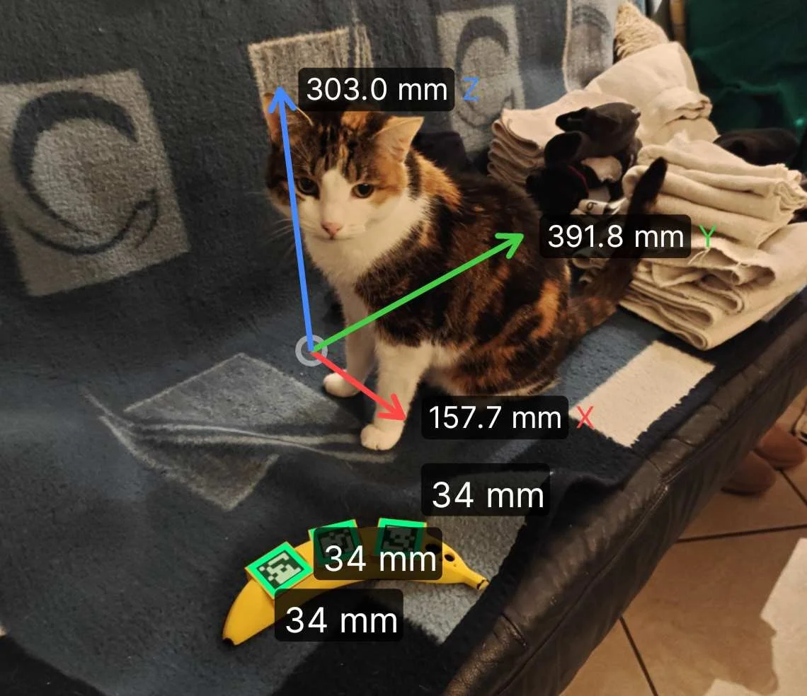 Banana Scale