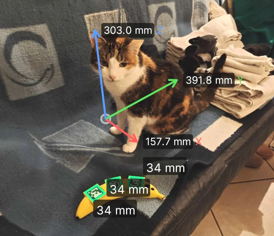 Bannana Scale App