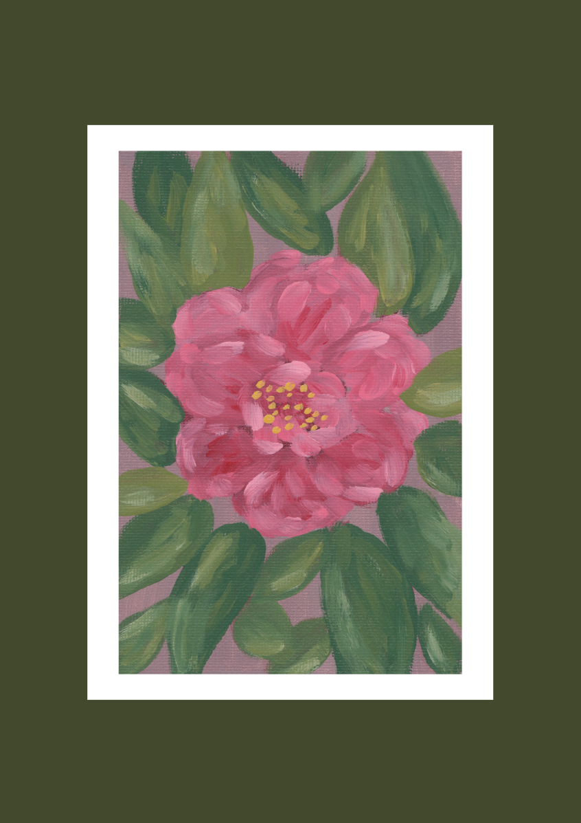 Camellia I Limited Edition Print