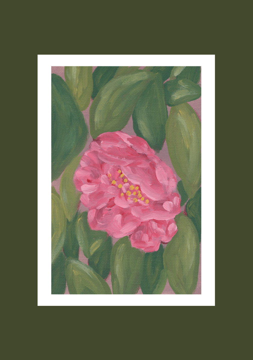 Camellia III Limited Edition Print