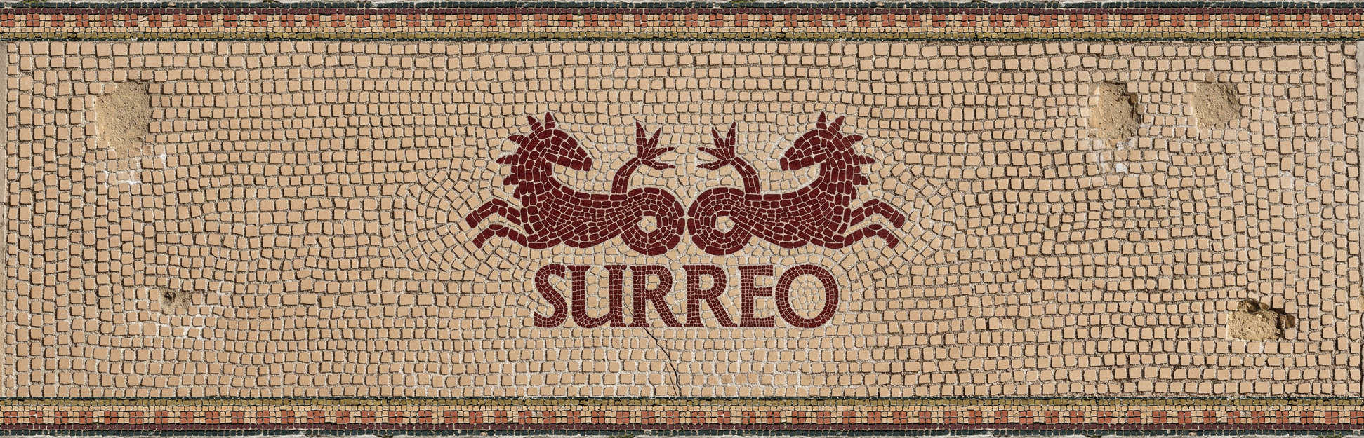 Surreo Sorrento - Seaside Grill house Perth - Perth best restaurant