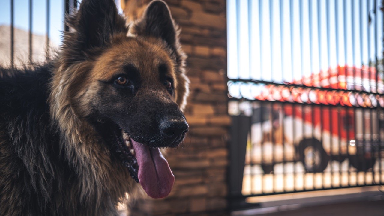 Cogne - 2025-93 Large.jpeg