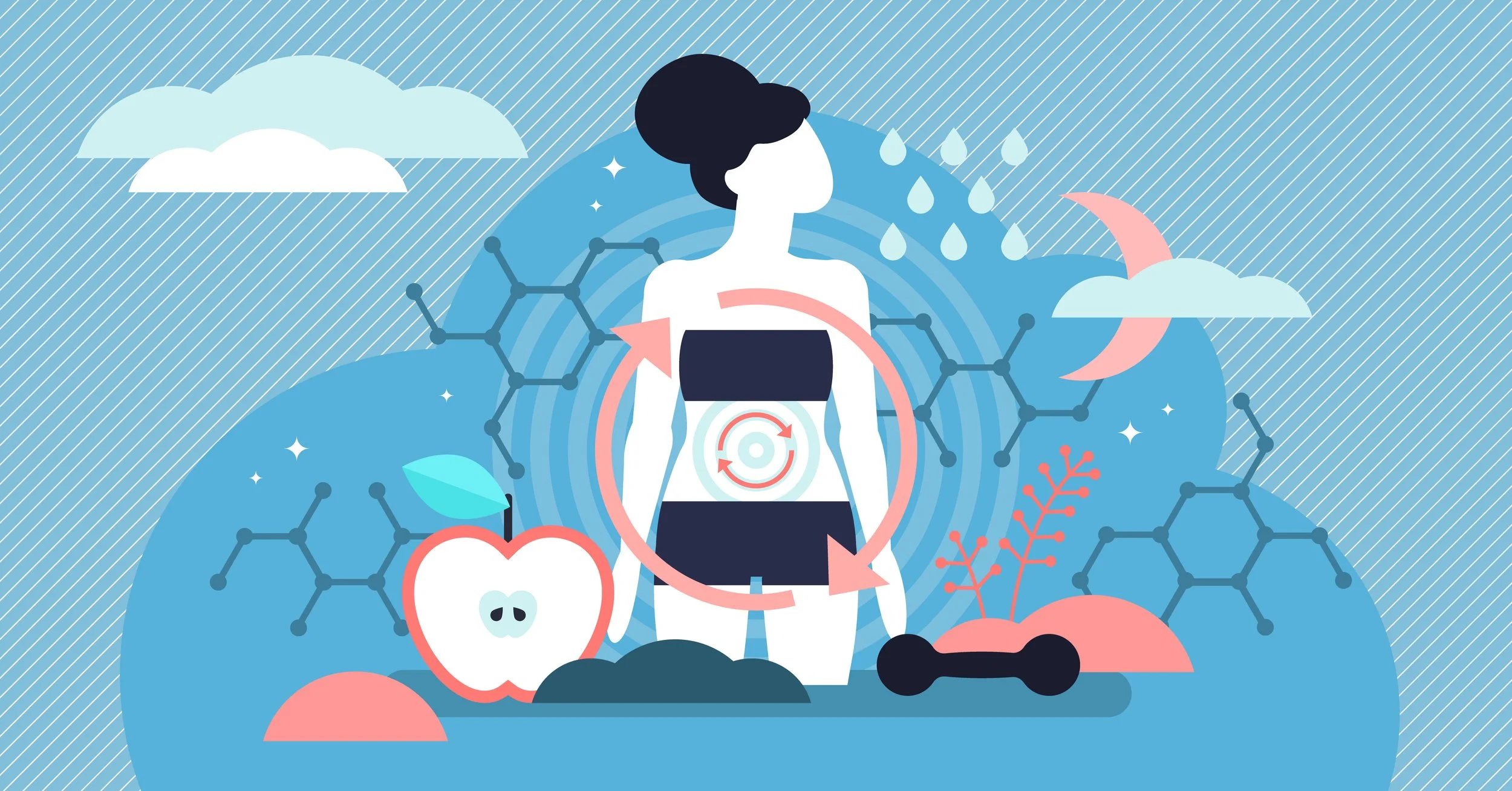 Metabolic health in midlife: what you need to know