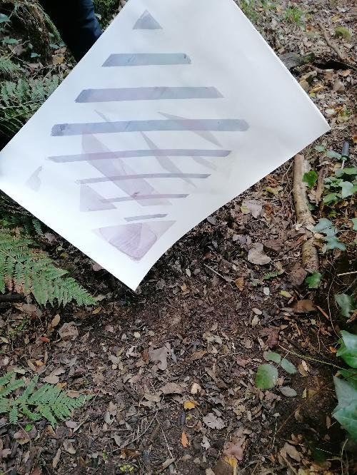 Placa de señalización en un sendero rodeado de plantas, con letras y símbolos en color lila.