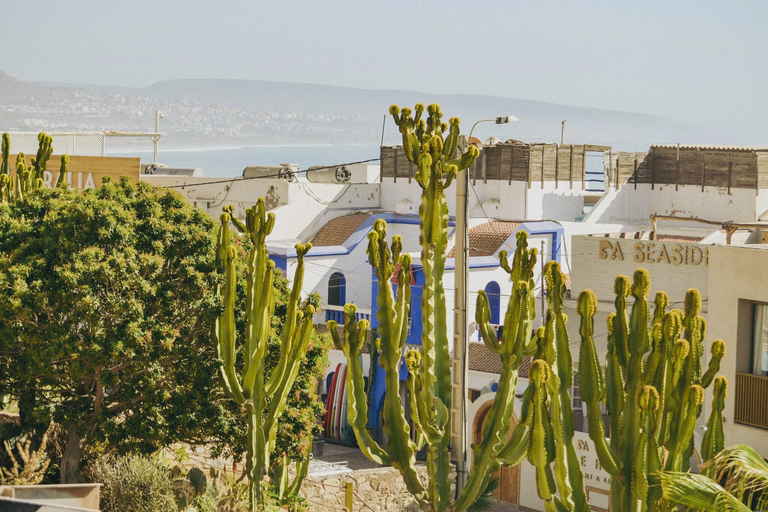 Paysage urbain avec des cactus verts en premier plan, maisons blanches avec poutres en bois, et vue lointaine sur une ville ou une banlieue avec des collines en arrière-plan.