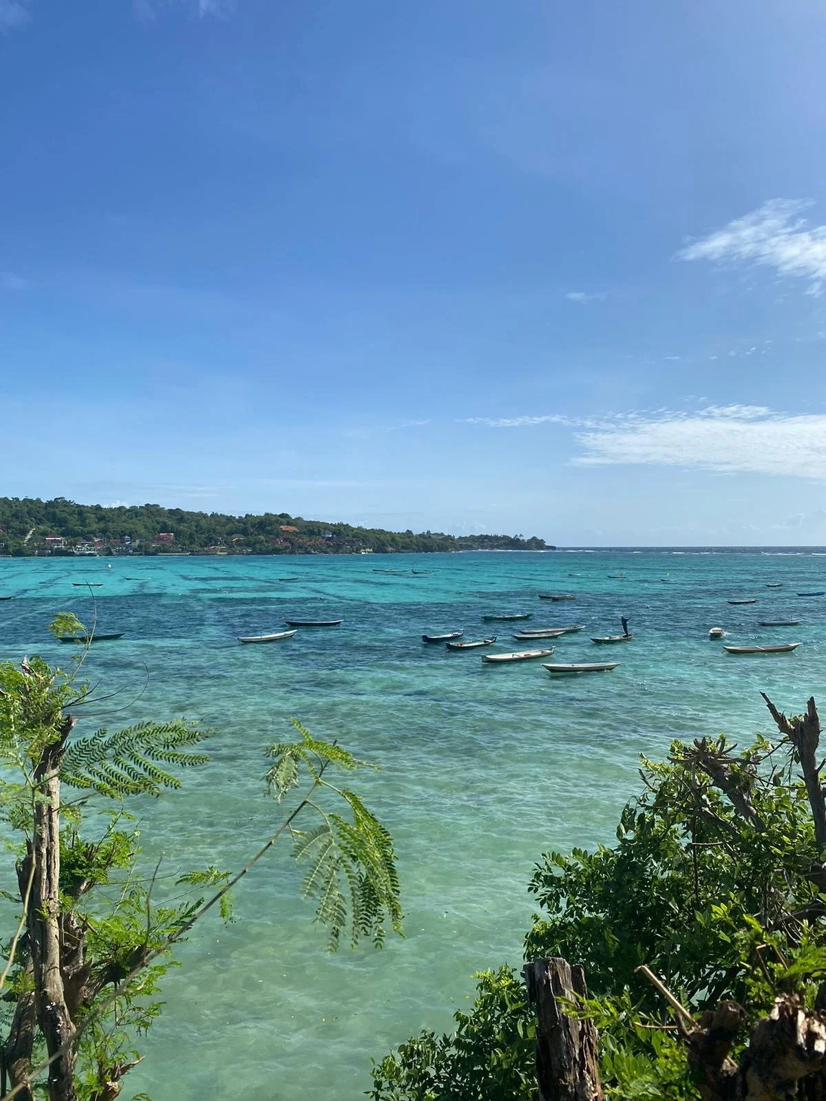 Une vue d'une mer turquoise avec plusieurs petites embarcations flottant à la surface, une côte verdoyante en arrière-plan et un ciel bleu clair.