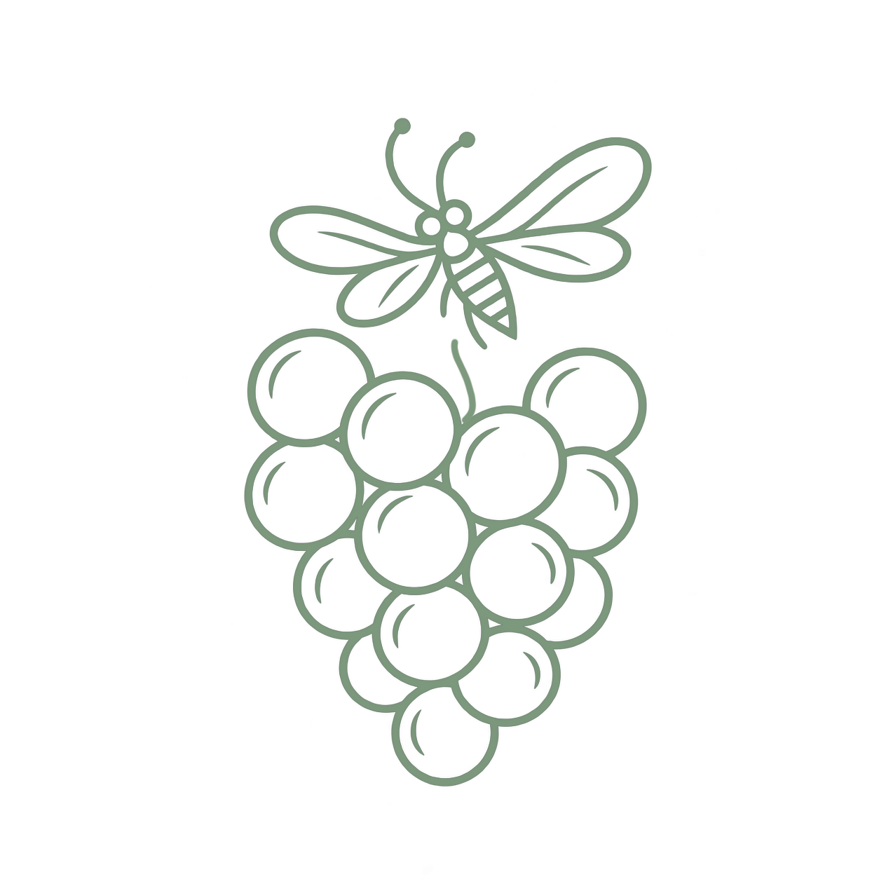 Disegno stilizzato di un grappolo d'uva con una farfalla sopra, tutto in linee sottili e colore verde chiaro su sfondo nero.