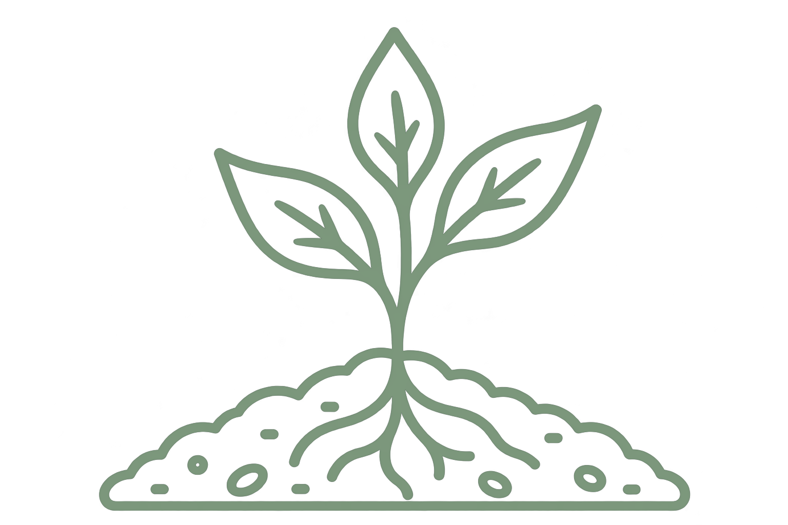 Disegno di una pianta con foglie e radici, rappresentando il ciclo di crescita e sviluppo della natura.