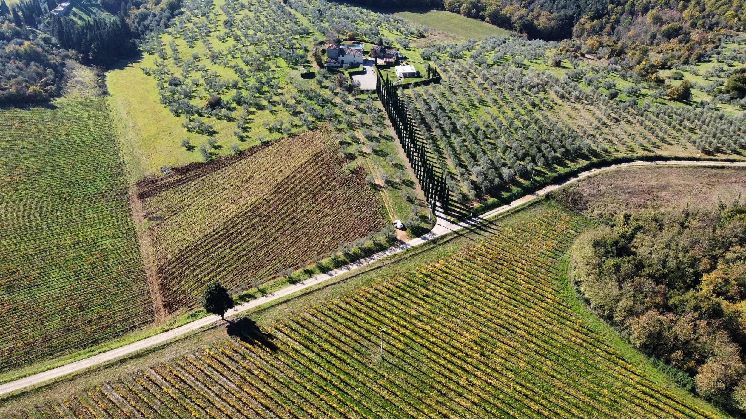 Veduta aerea di un paesaggio collinare con campi coltivati, vigneti e alberi di ulivo, oltre a una casa in pietra e un muro di cinta lungo una strada sterrata.