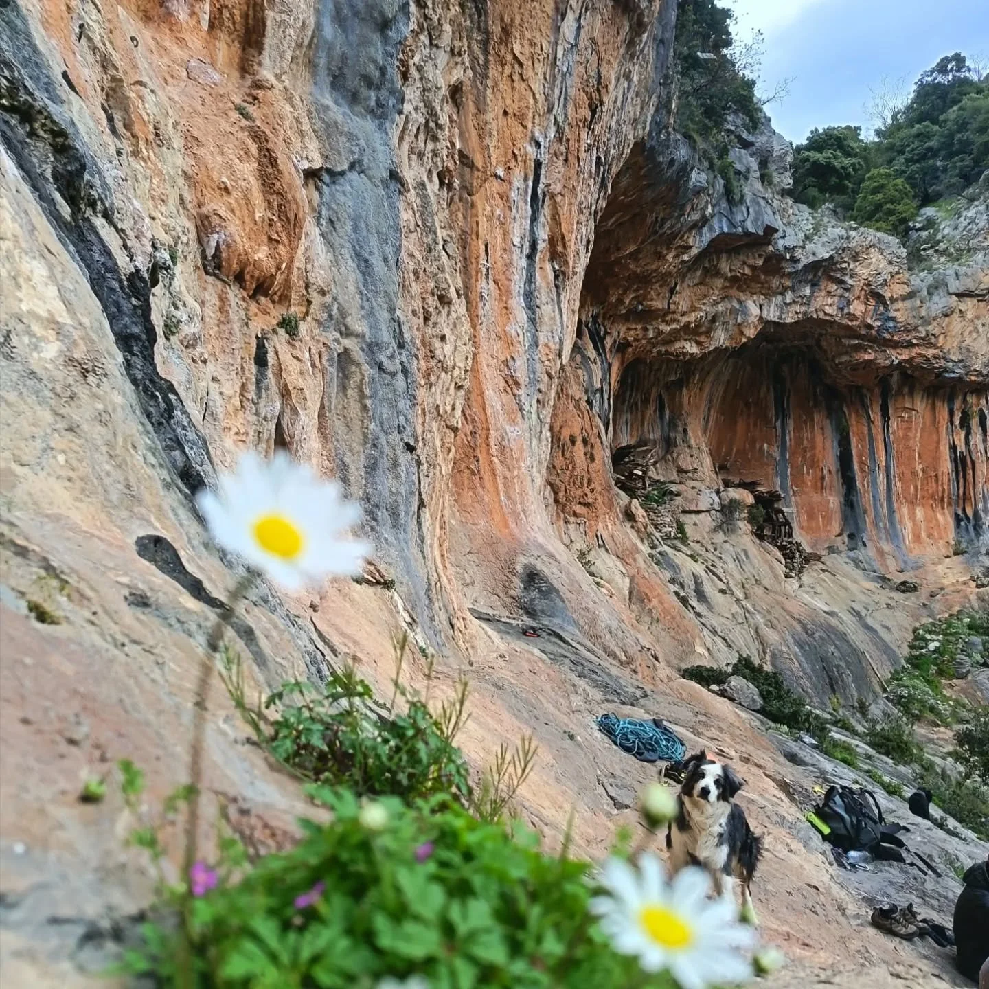 Nature peinture...!!
 #Leonidio#arcadia#greece