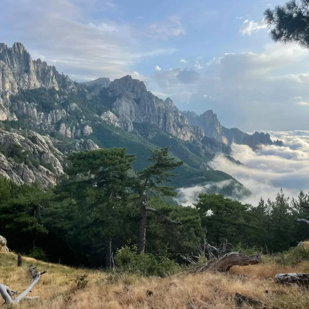 Aiguilles de bavella/Corsica