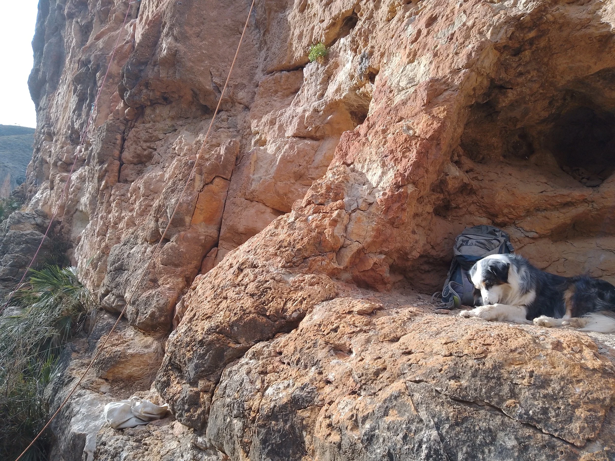 Un chien noir et blanc allongé sur le sol près d'une falaise de roche rougeâtre, avec un sac à dos à côté, en dehors d'une voie d'escalade.