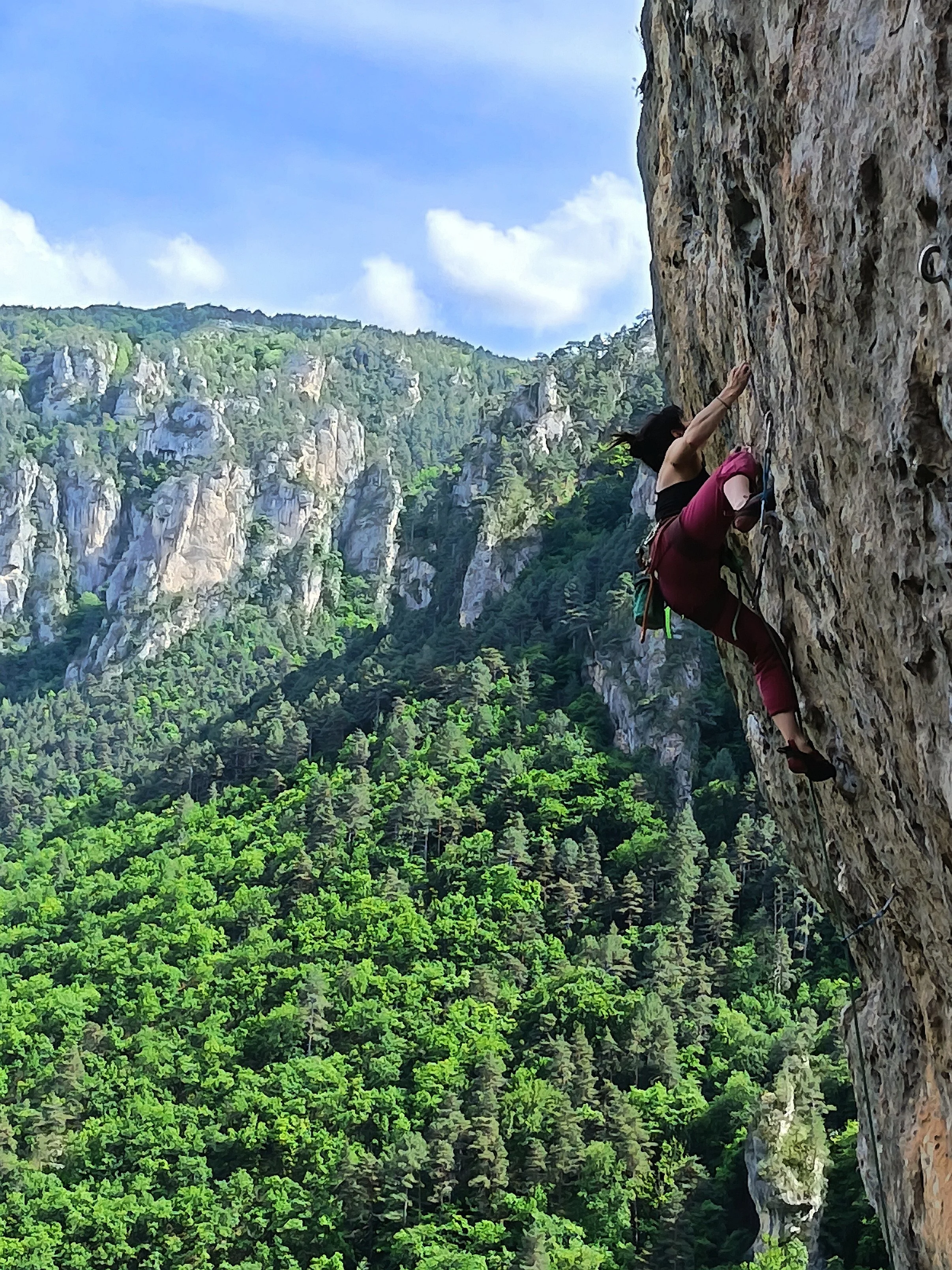 Femme pratiquant l'escalade sur une falaise rocheuse avec vue sur une forêt dense et un ciel bleu avec quelques nuages.