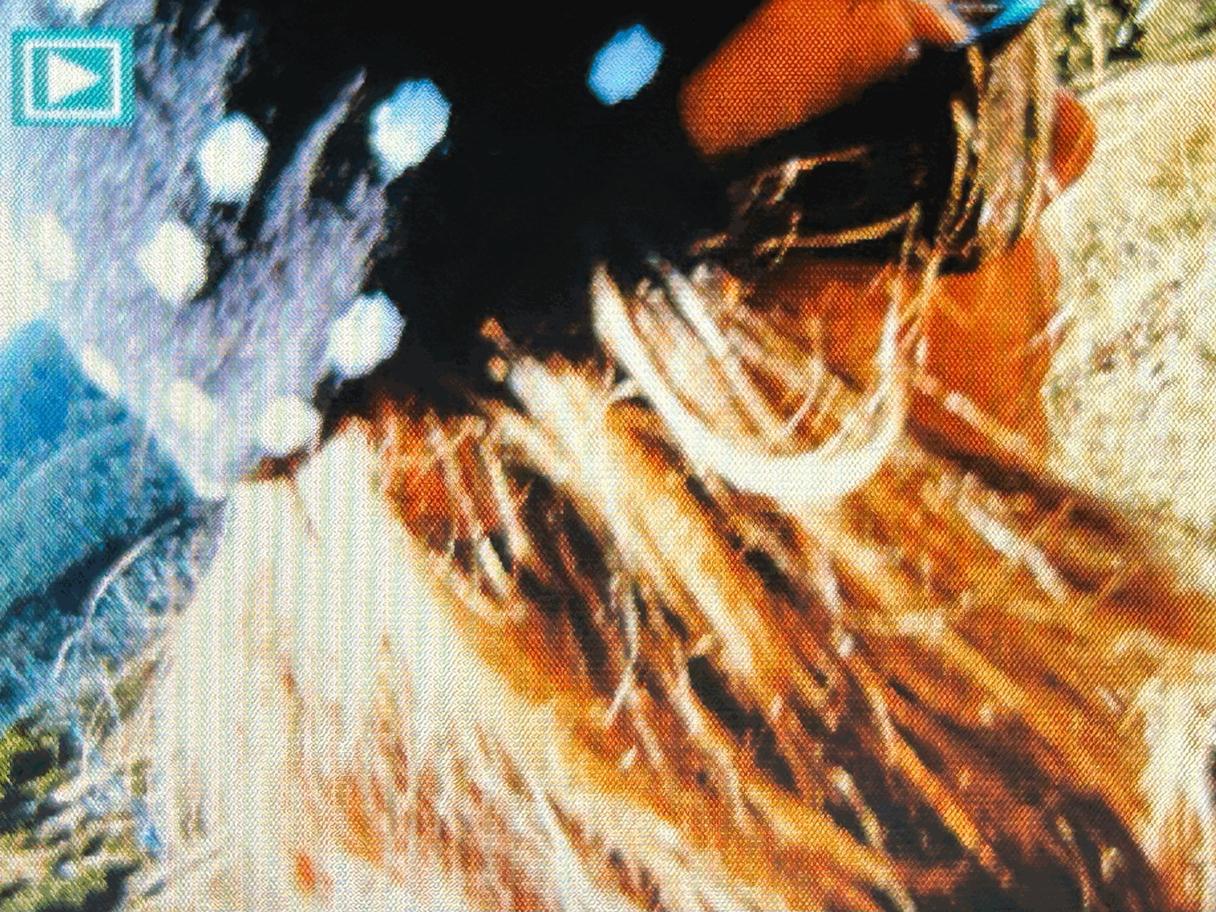 tempImage2cxg9a.gif