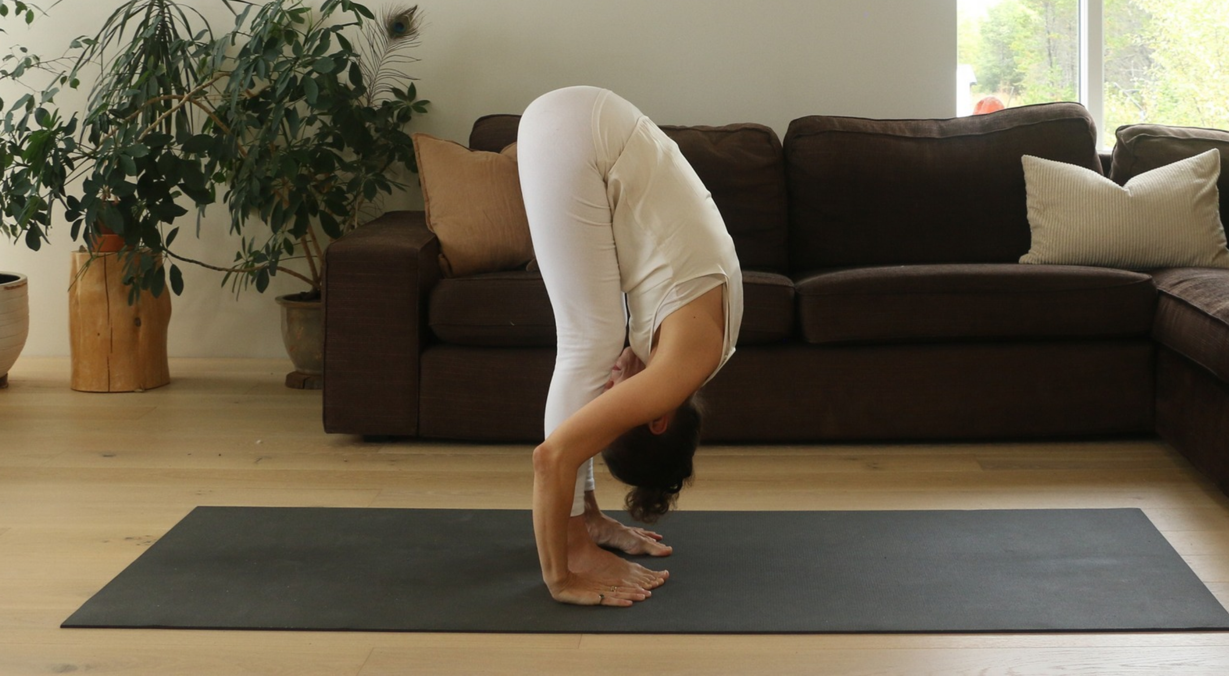 Person practicing yoga in a room with hardwood floors, large windows, a black yoga mat, an indoor plant, and a brown couch with pillows, performing a forward bend pose in a studio-like space.