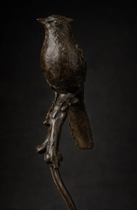 Foto 05-02-2026 om 20.38 (2).jpeg