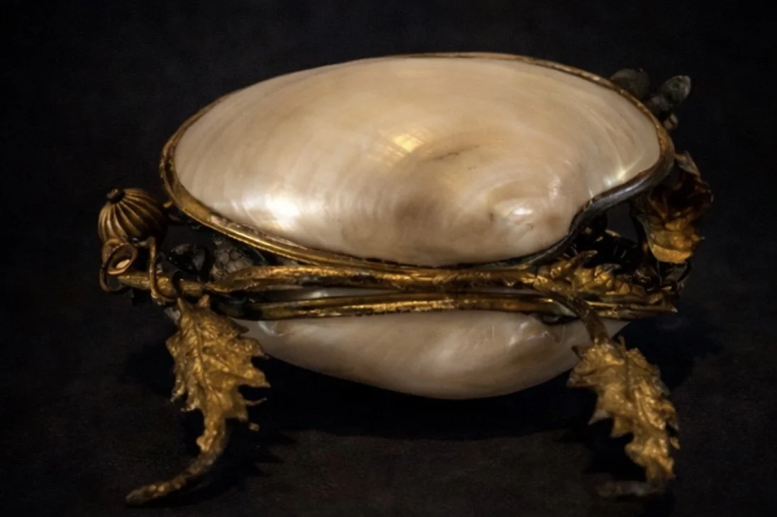 Foto 05-02-2026 om 20.45 (2).jpeg