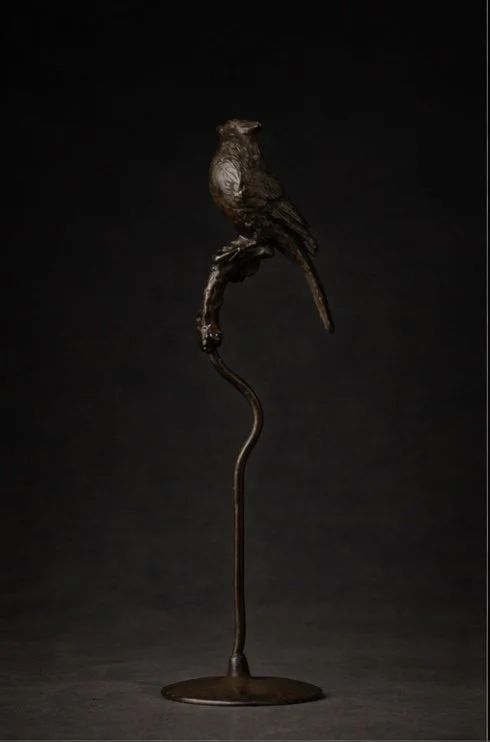 Foto 05-02-2026 om 20.37.jpeg