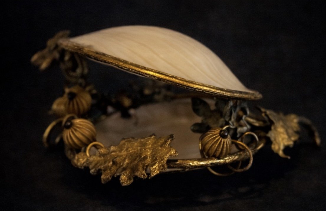 Foto 05-02-2026 om 20.46.jpeg