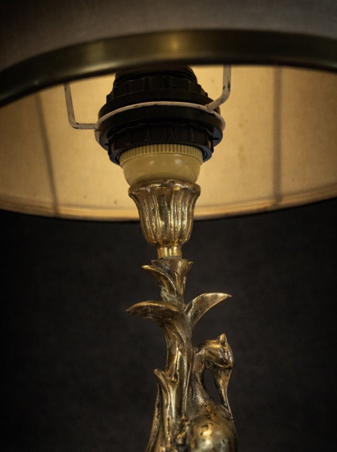 Foto 05-02-2026 om 20.40.jpeg