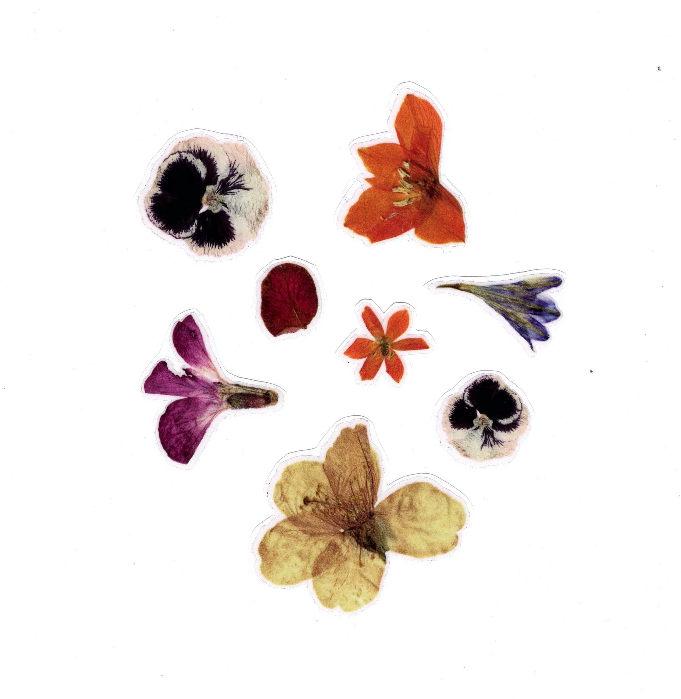 Flower stickers sheet