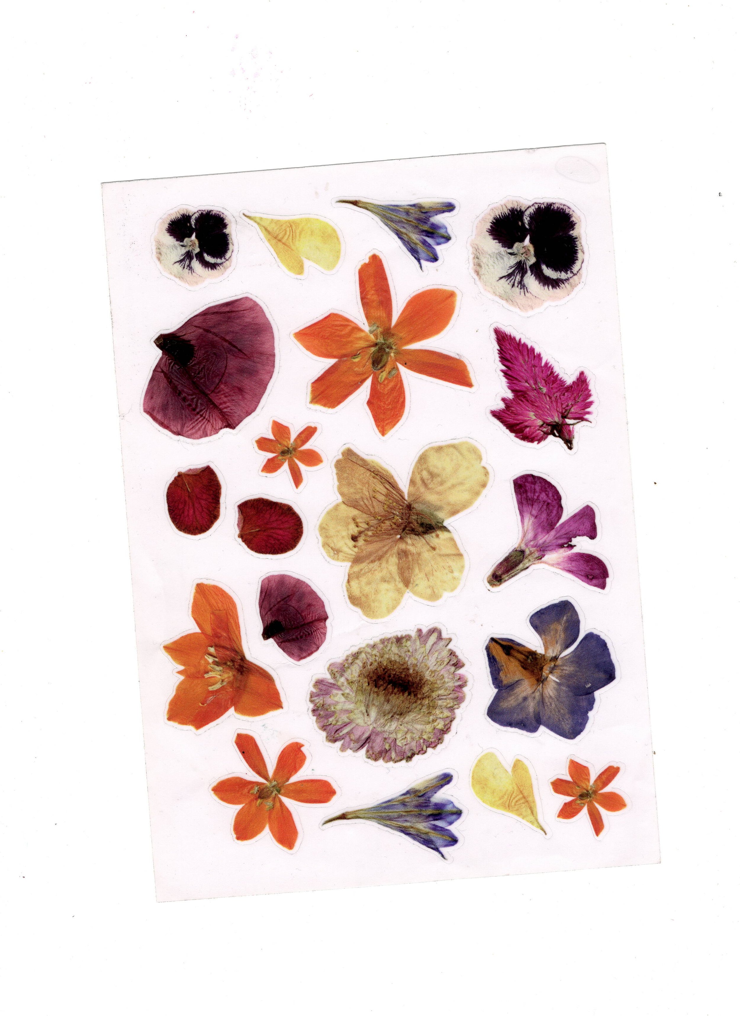 Bloemensticker full.jpeg