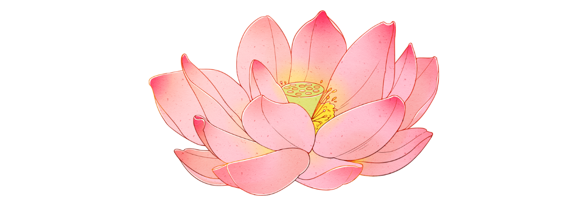 Lotus Flower Graphic