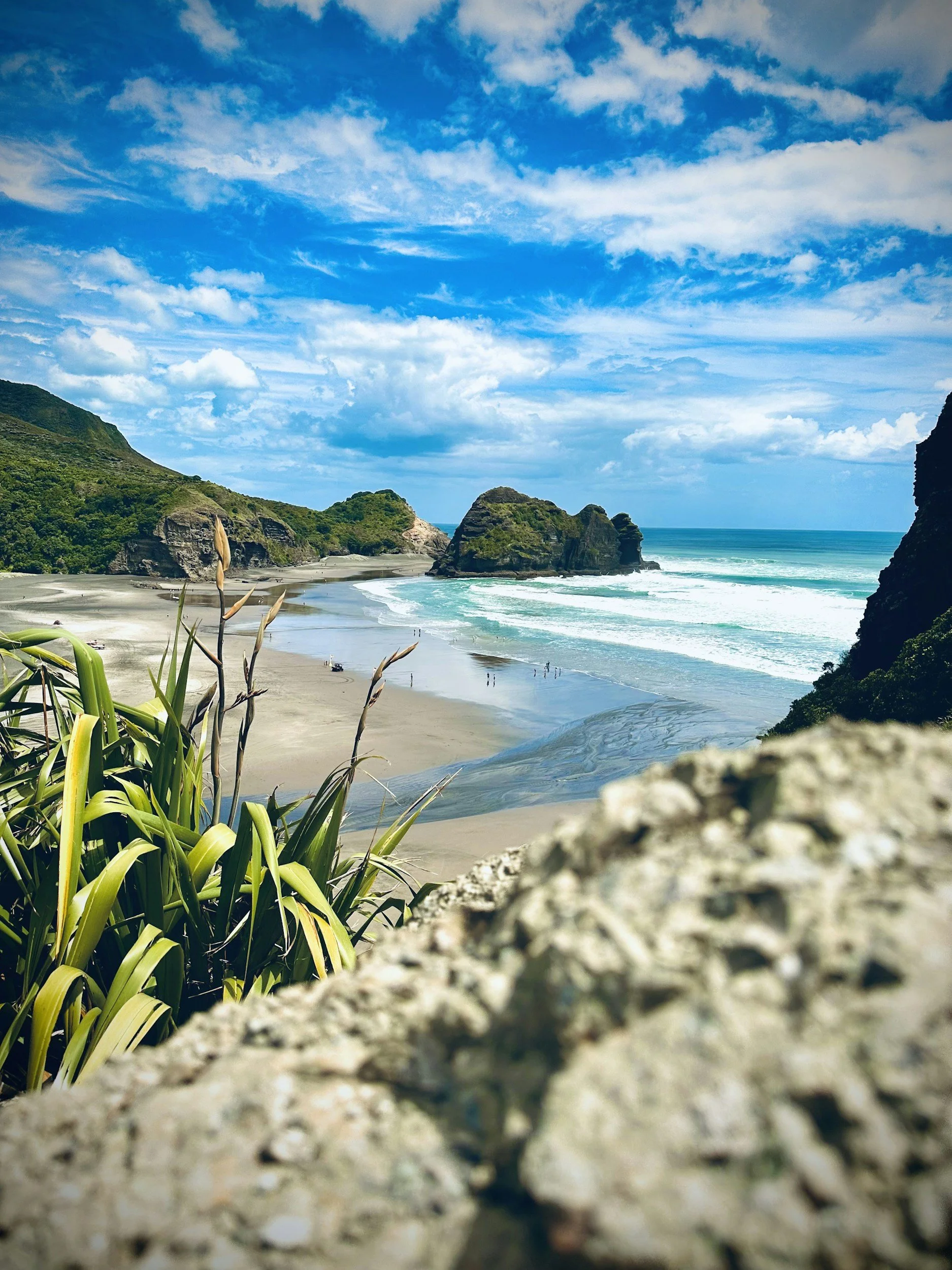 Why New Zealand Is Trusted Worldwide for Marine Products