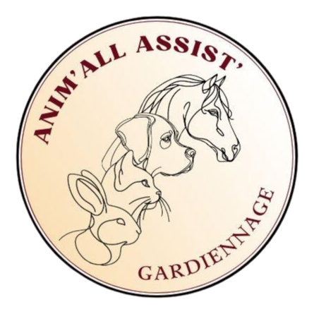 Anim'All Assist