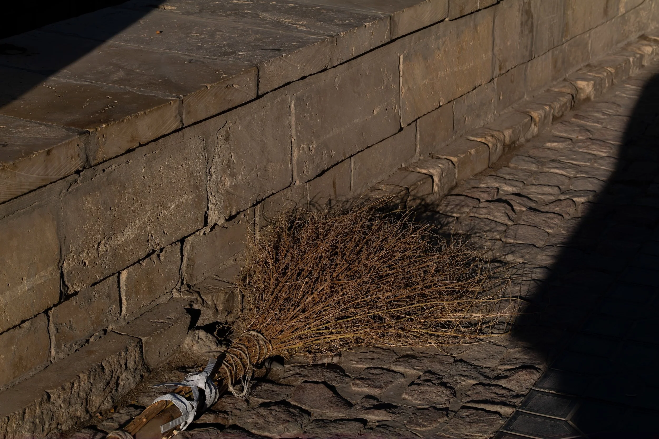 The edge of loss.jpeg