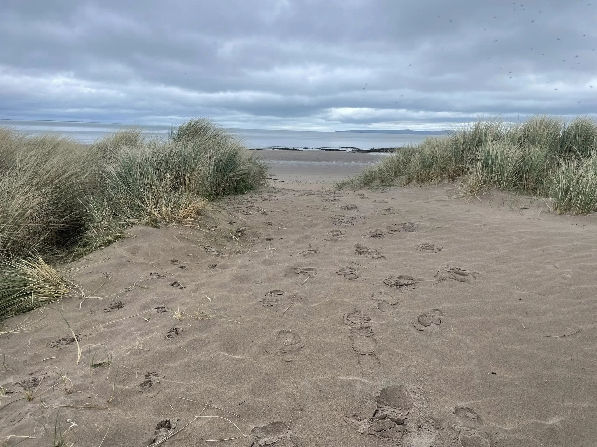 Beach scene with sandy shore, grassy dunes, and water in the distance under a cloudy sky.